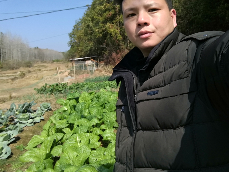 倔强的驴的第一张照片--桂林相亲服务中心
