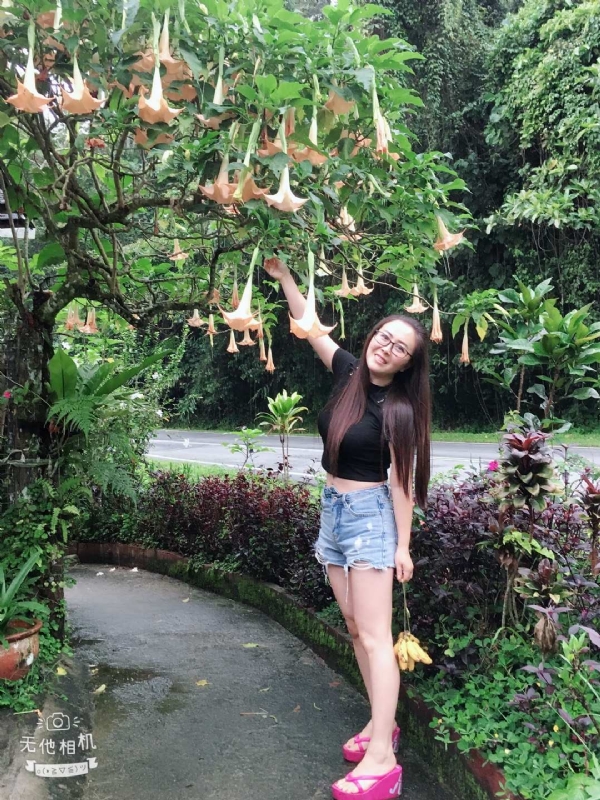 离异单身无子的第二张照片--桂林相亲服务中心