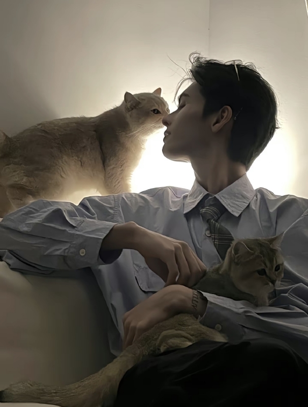 怪猫的第一张照片--桂林相亲服务中心